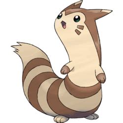 furret bulbapedia.